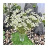 New faux flower long lace artificial flower small and fresh style home living room flower arrangement, hand feel flocked plastic flower Item Picture